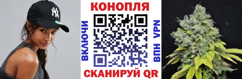 продажа наркотиков  нарко площадка как зайти  Шишки марихуана SATIVA & INDICA  Ярцево 